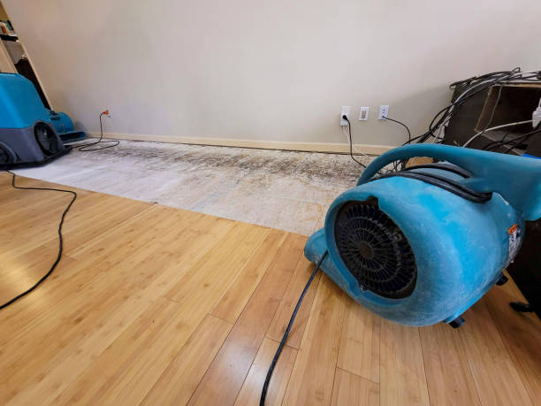 Professional Flood Damage Cleanup technician working in Piermont, NY